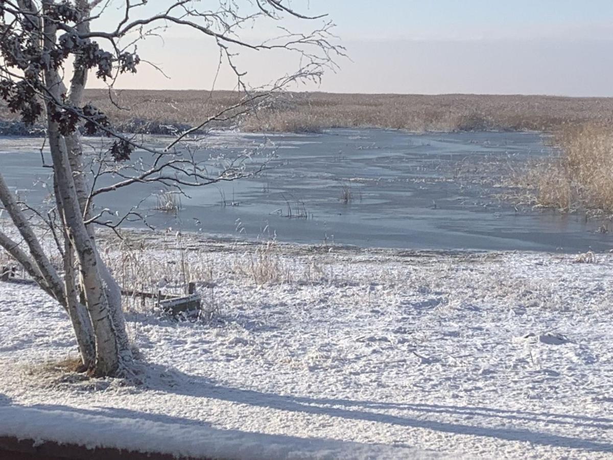 Lakeview & Wildlife Au Gres Esterno foto