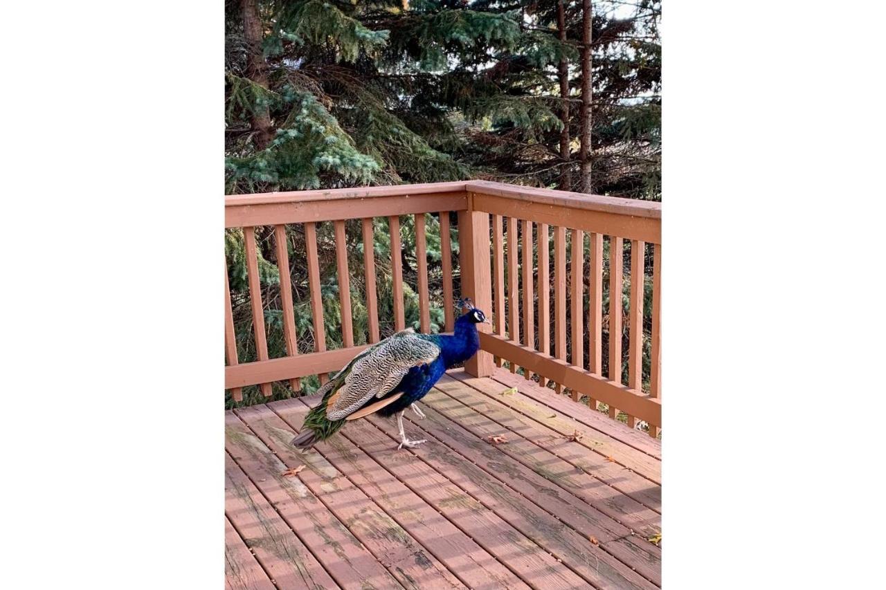 Lakeview & Wildlife Au Gres Esterno foto