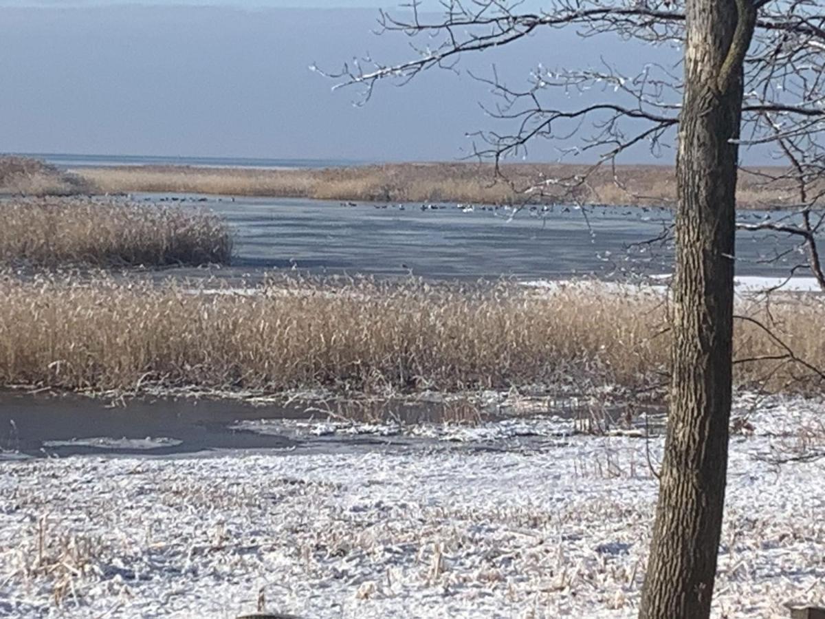Lakeview & Wildlife Au Gres Esterno foto