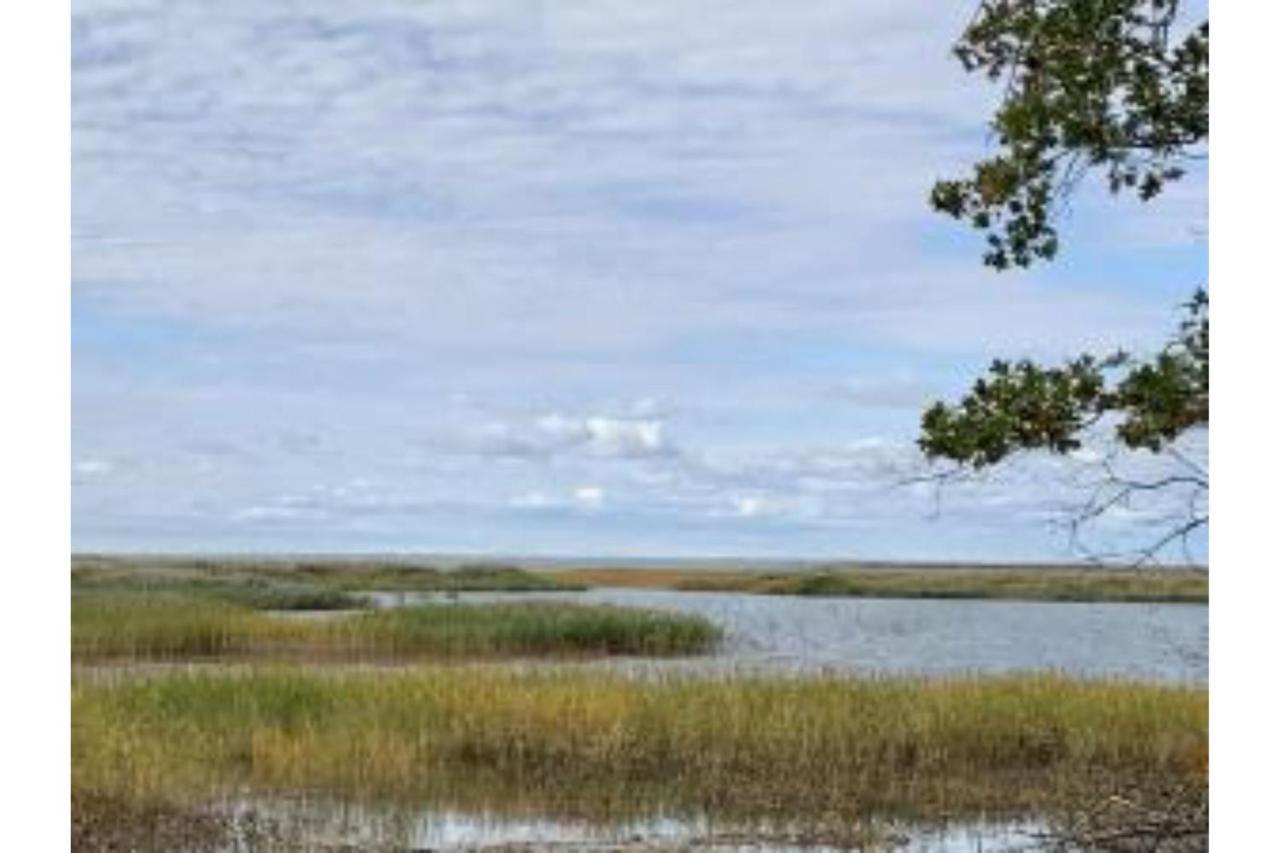 Lakeview & Wildlife Au Gres Esterno foto
