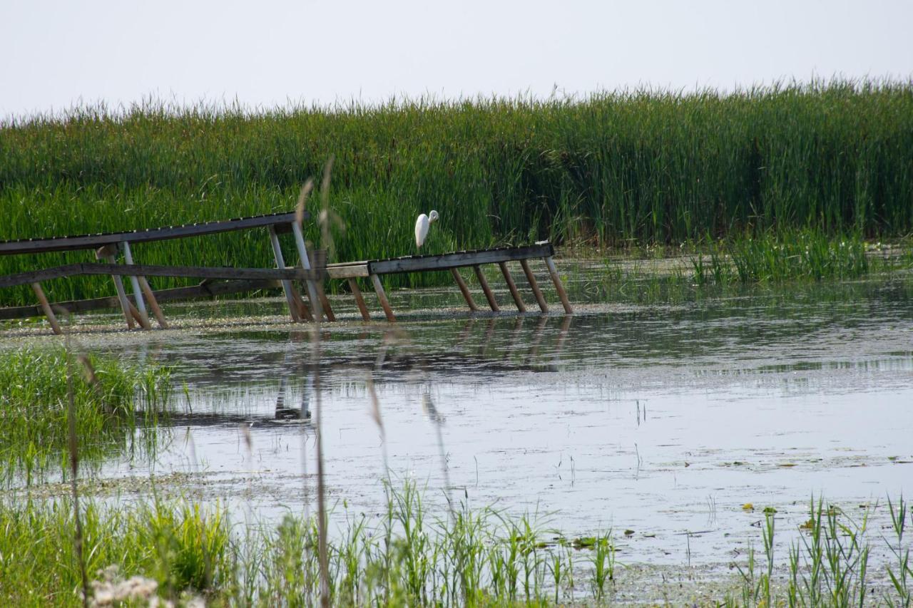 Lakeview & Wildlife Au Gres Esterno foto