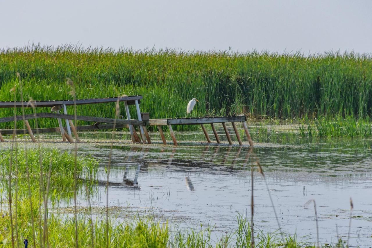 Lakeview & Wildlife Au Gres Esterno foto